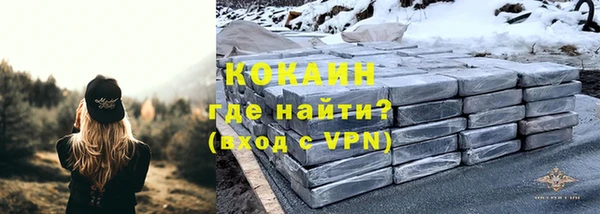 дмт Козельск