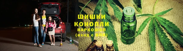 прущие грибы Киреевск