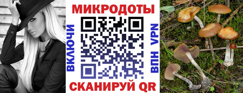 Псилоцибиновые грибы MAGIC MUSHROOMS  Купить где  Нефтекумск 